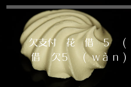 欠支付寶花唄借唄5萬(wàn)元(支付寶借唄欠5萬(wàn)還不上)