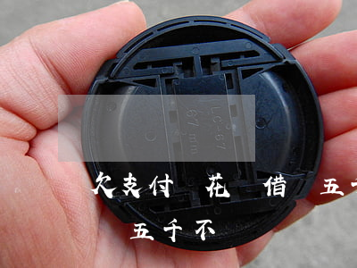 欠支付寶花唄借唄五千不還(欠支付寶花唄借唄五千不還)