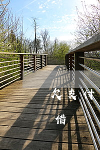 欠支付寶花唄借唄無力償還咋辦(支付寶花唄借唄無力還款最佳處理方法)