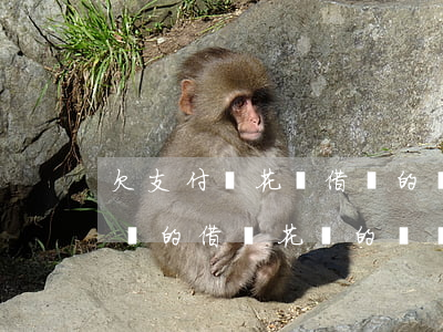 欠支付寶花唄借唄的錢還不上(如果欠了支付寶的借唄花唄的錢,確實(shí)無力償還該怎么辦?)