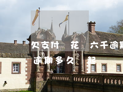 欠支付寶花唄六千逾期-欠支付寶花唄六千逾期多久會起訴