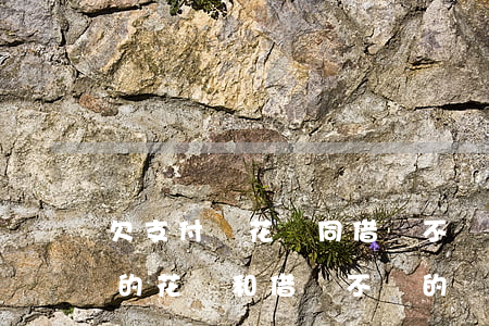 欠支付寶花唄同借唄不還會怎么樣-支付寶的花唄和借唄不還的話會怎么樣處理