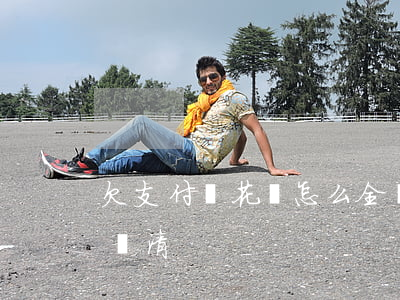 欠支付寶花唄怎么全還(支付寶花唄如何全部還清)