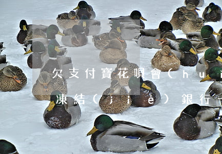 欠支付寶花唄會(huì)不會(huì)凍結(jié)銀行卡（支付寶花唄逾期銀行卡會(huì)凍結(jié)）
