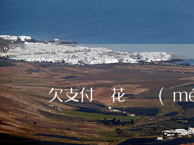 欠支付寶花唄沒(méi)還(欠支付寶花唄錢)