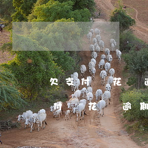 欠支付寶花唄逾期失聯(lián)-欠支付寶花唄逾期失聯(lián)會怎么樣