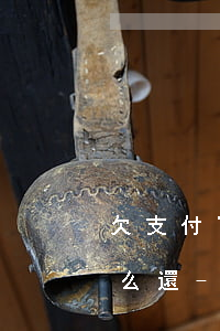 欠支付寶花唄逾期的錢應(yīng)該怎么還-欠支付寶花唄逾期的錢應(yīng)該怎么還款