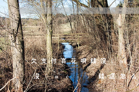欠支付寶花唄錢沒(méi)還(支付寶花唄沒(méi)錢還怎么辦)