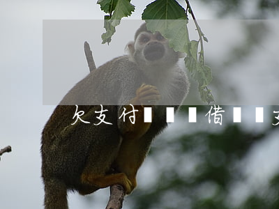欠支付寶螞蟻借唄錢(支付寶借唄欠款)