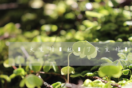 欠支付寶起訴了(欠支付寶起訴了會判刑嗎)