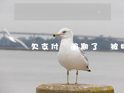 欠支付寶逾期了會被拘留嗎