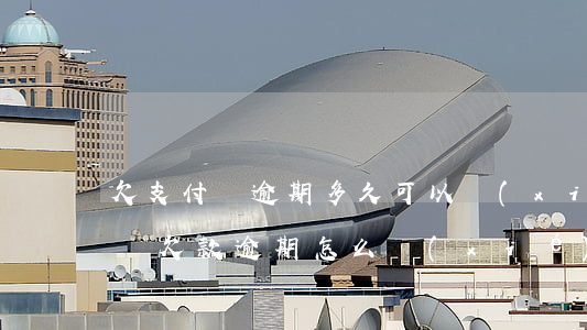 欠支付寶逾期多久可以協(xié)商(支付寶欠款逾期怎么協(xié)商)