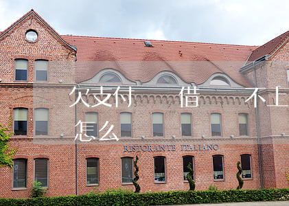 欠支付寶錢借唄還不上(支付寶借唄還不上款怎么辦)