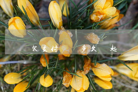 欠支付寶錢多久會起訴