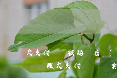 欠支付寶錢被起訴后應(yīng)該怎么樣處理（欠支付寶錢說要起訴）