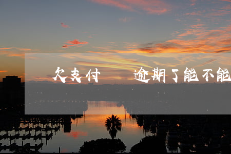 欠支付寶錢逾期了能不能辦銀行卡