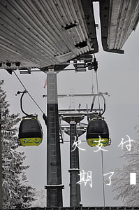 欠支付寶錢逾期能分期買車嗎(支付寶花唄逾期了買車可以分期付款嗎)