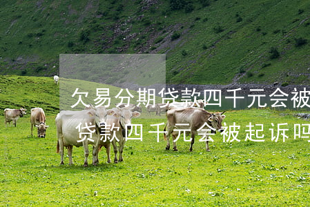 欠易分期贷款四千元会被起诉吗-欠易分期贷款四千元会被起诉吗