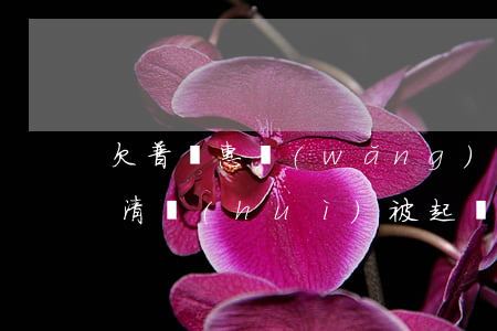 欠普貴惠網(wǎng)貸沒(méi)還清會(huì)被起訴嗎(普惠網(wǎng)貸不還會(huì)有什么后果)