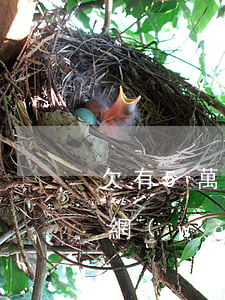 欠有5萬網(wǎng)貸怎么辦(欠有5萬網(wǎng)貸怎么辦)