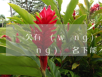欠有網(wǎng)貸可以供車嗎(欠網(wǎng)貸名下能不能有車)