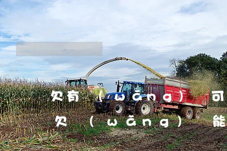 欠有網(wǎng)貸可以可以貸款買房嗎(欠網(wǎng)貸能貸款買房嗎)