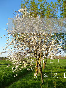 欠有網(wǎng)貸可以當(dāng)兵么(欠網(wǎng)貸當(dāng)兵有沒(méi)有影響)