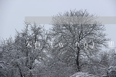 欠有網(wǎng)貸患有重疾還不了怎么辦-