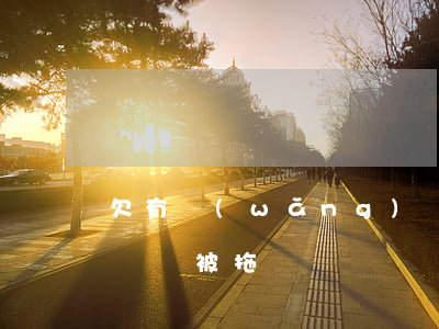 欠有網(wǎng)貸車會不會被拖走(欠車貸會被拖車嗎)