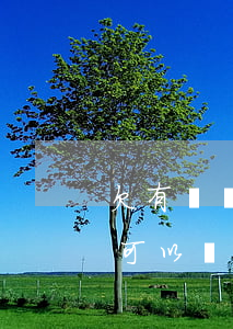 欠有網貸可以農村信用貸款嗎(有網貸沒逾期可以辦理農村信用社貸款嗎)