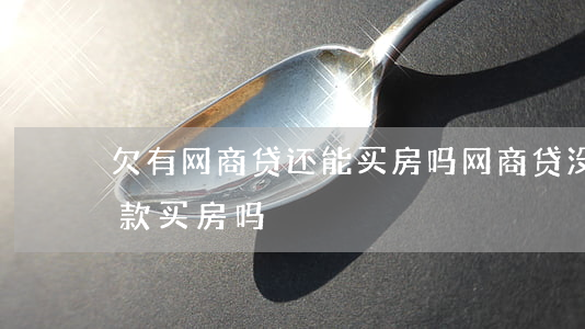 欠有网商贷还能买房吗(网商贷没还清可以贷款买房吗)