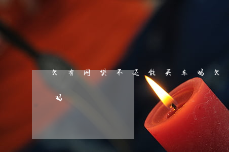 欠有网贷不还能买车吗(欠网贷还能贷款买车吗)