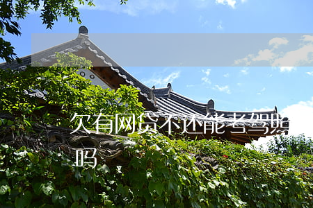 欠有网贷不还能考驾照吗(有欠款可以考驾照吗)