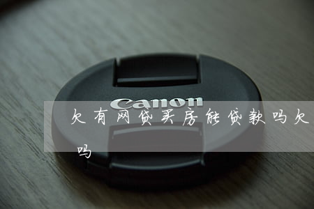 欠有网贷买房能贷款吗(欠有网贷买房能贷款吗)
