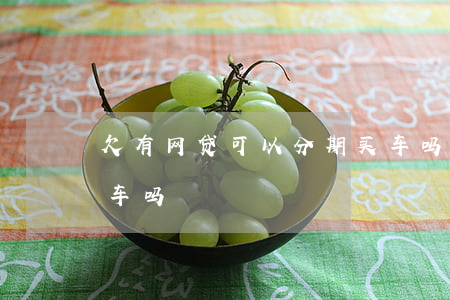 欠有网贷可以分期买车吗(有网贷不能分期买车吗)