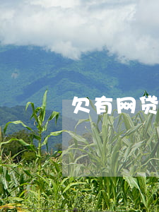 欠有网贷可以卖房吗(欠网贷卖房子能过户吗)