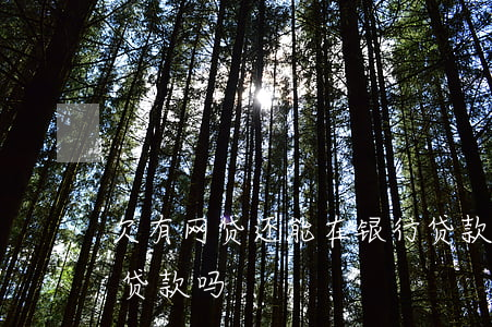 欠有网贷还能在银行贷款吗(网贷有欠款还能贷款吗)