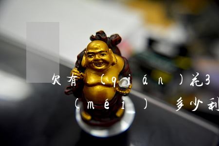 欠有錢(qián)花3萬(wàn)兩年沒(méi)還多少利息-