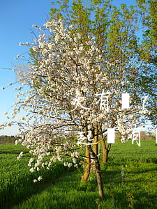欠有錢(qián)花兩千多元逾期多久被起訴(有錢(qián)花欠了五千塊逾期兩年會(huì)不會(huì)被起訴)