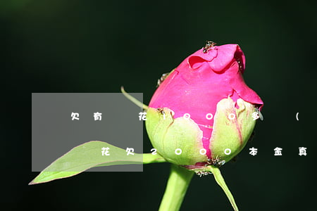 欠有錢花1000多會(huì)起訴嗎(有錢花欠2000本金真的會(huì)起訴嗎)