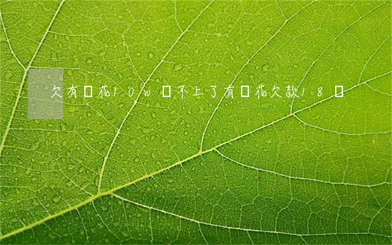 欠有錢花10w還不上了(有錢花欠款18萬)