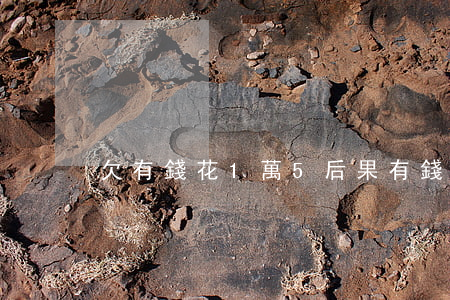 欠有錢花1萬5后果(有錢花欠2萬一年)
