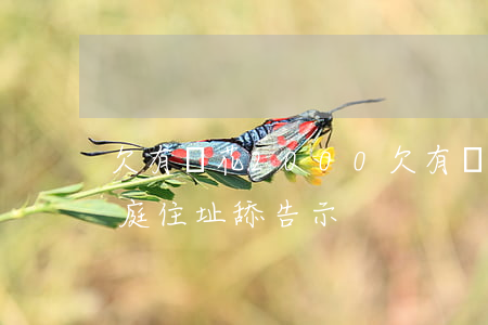 欠有錢花2000(欠有錢花2000說在家庭住址舔告示)