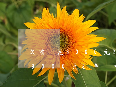 欠有錢花3000元2年沒有還-欠有錢花3000元2年沒有還會怎樣