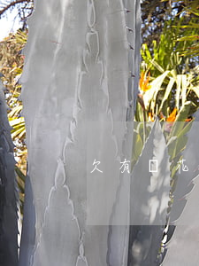 欠有錢花3萬多逾期一年了怎么辦