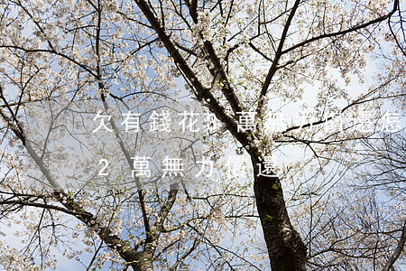 欠有錢花3萬無力償還怎么辦(有錢花欠款12萬無力償還)