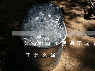 欠有錢花4萬還不起了(欠有錢花8萬還不起了怎么辦)