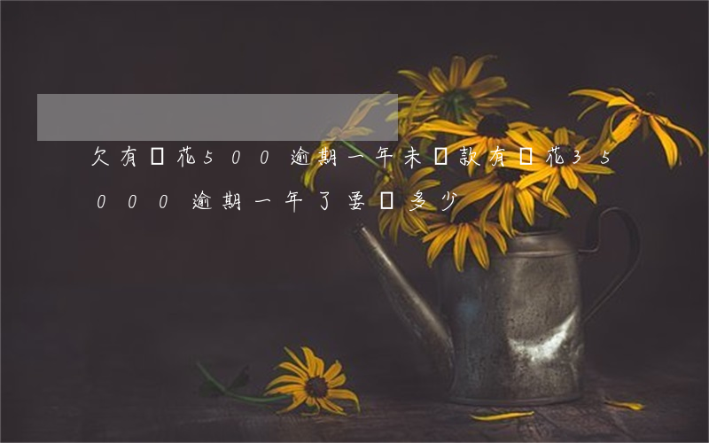 欠有錢花500逾期一年未還款(有錢花35000逾期一年了要還多少)