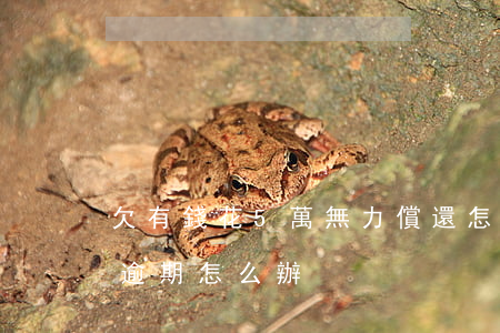 欠有錢花5萬無力償還怎么辦(欠有錢花5萬逾期怎么辦)
