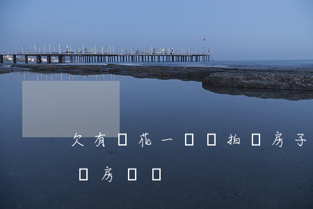欠有錢花一萬會拍賣房子嗎(欠幾千塊會被拍賣房產嗎)